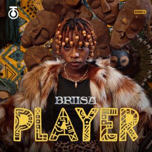 Briisa - Player