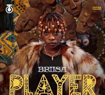 Briisa - Player