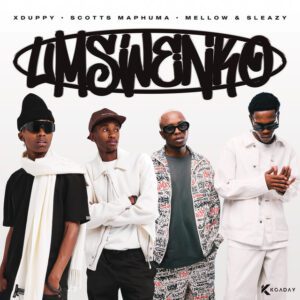 Xduppy, Scotts Maphuma, Mellow & Sleazy - Umswenko (EP)