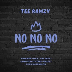 TEE Ramzy, Shino Kikai, Starr Healer, Murumba Pitch, Sipho Magudulela, OHP Sage - No No No