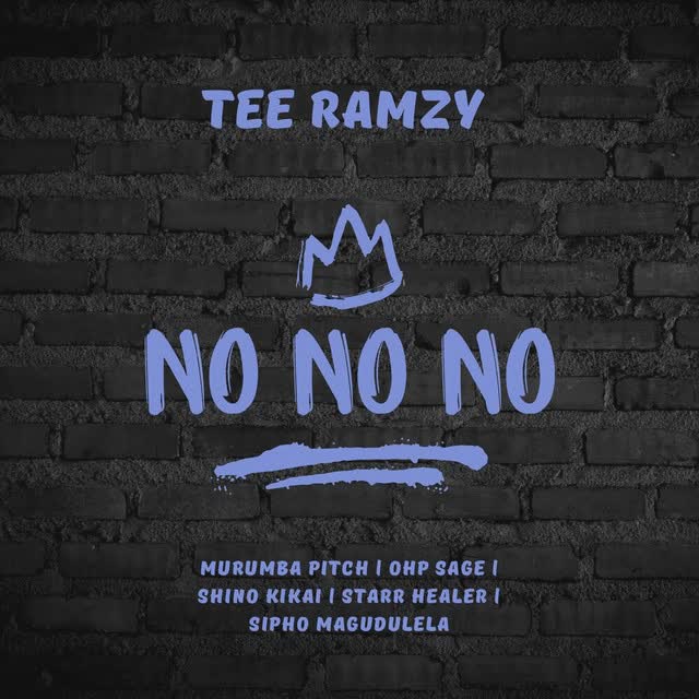 TEE Ramzy, Shino Kikai, Starr Healer, Murumba Pitch, Sipho Magudulela, OHP Sage - No No No