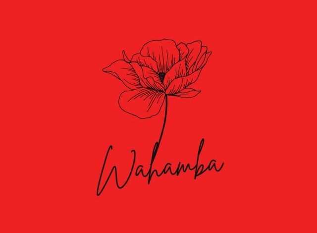 CocoSA - Wahamba (feat. Sipho Magudulela, Ssips, Nele SA)